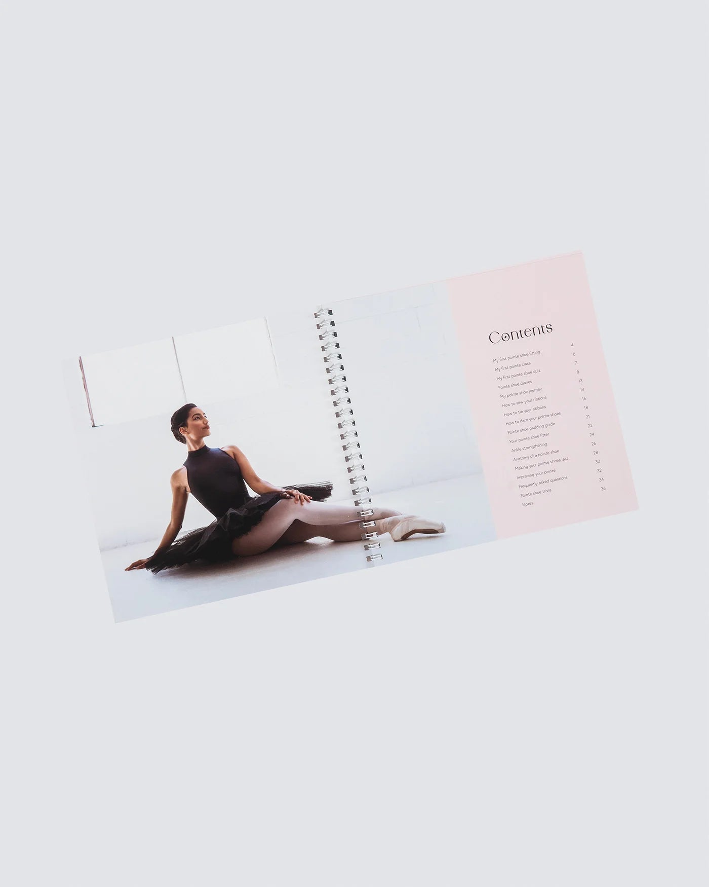My First Pointe Shoe Book