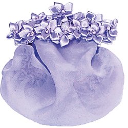 Star Flower with Snood